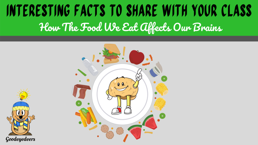 How Does The Food We Eat Affect Our Brains?